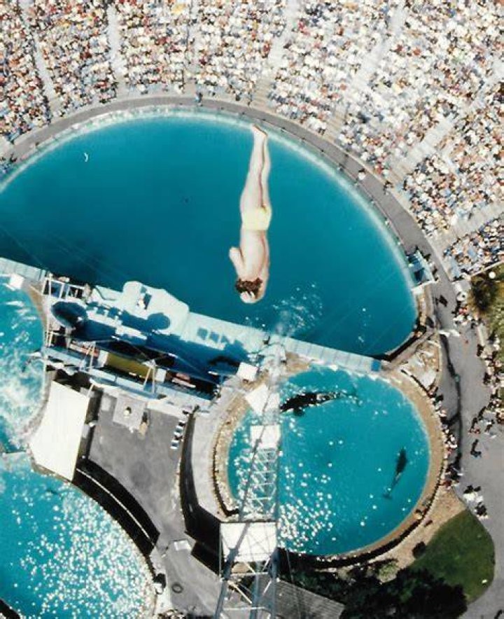 Dive Into The World Of Dana York