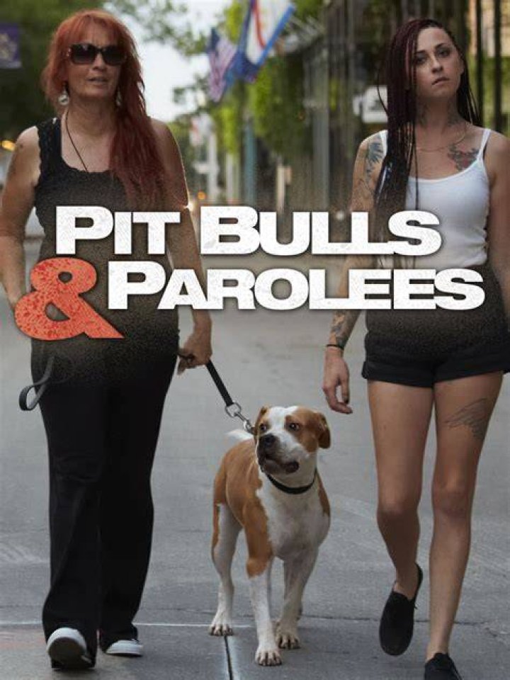 Is Earl From Pit Bulls And Parolees Still With Us?