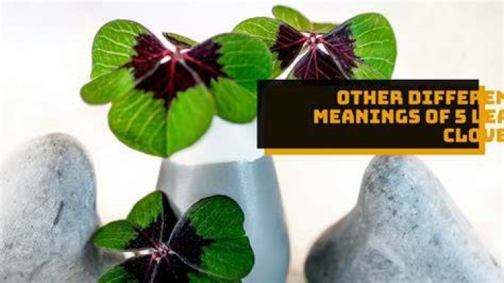 Unveiling The Secrets Of The Five-Leaf Clover: Discover Its Profound Meaning